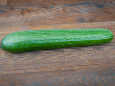 Large # 1 English Cucumber