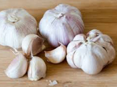 Fresh Garlic Bulb