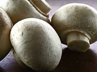 Highline White Mushrooms-1lb